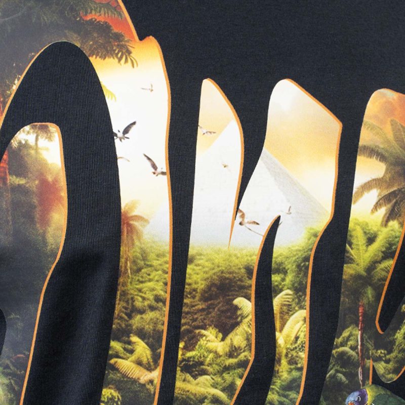 Herren T-Shirt schwarz – El Dorado One - 03