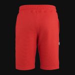 Herren Shorts Core Mesh - 04