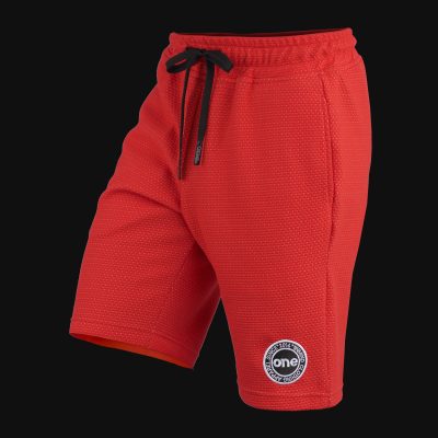 Herren Shorts Core Mesh