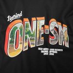 Herren Slim-Fit T-Shirt - ONE-SM - 04