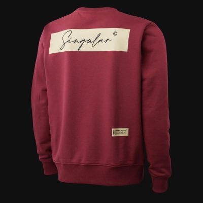 Herren Hoodie - Prime Script